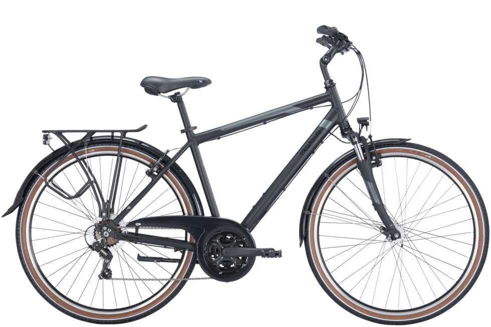 VTC PEGASUS Piazza Homme Gris (21 Vitesses)