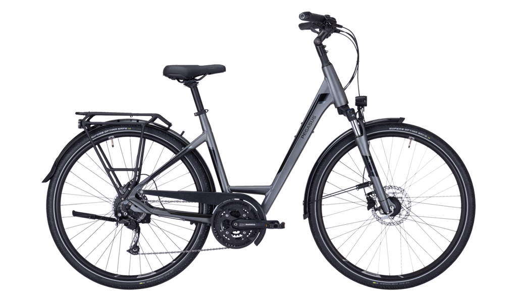 VTC PEGASUS Premio SL Disc Dame Gris (27 Vitesses)