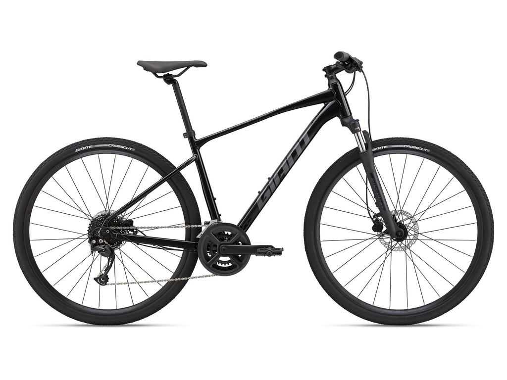 VTC GIANT Roam Disc 2 Black