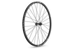 [W0X1900AEIXSA06806] Roue Avant DT SWISS X1900 SPLINE 29" 25mm 15X100 CL